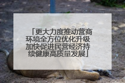 更大力度推动营商环境全方位优化升级加快促进民营经济持续健康高质量发展