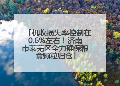 机收损失率控制在0.6%左右！济南市莱芜区全力确保粮食颗粒归仓