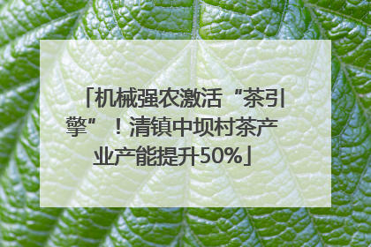 机械强农激活“茶引擎”！清镇中坝村茶产业产能提升50%