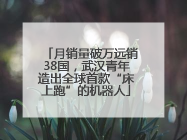 月销量破万远销38国，武汉青年造出全球首款“床上跑”的机器人