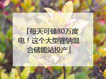 每天可储80万度电！这个大型锂钠混合储能站投产