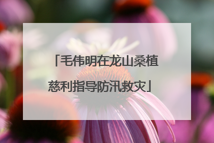 毛伟明在龙山桑植慈利指导防汛救灾