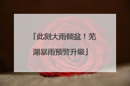 此刻大雨倾盆！芜湖暴雨预警升级