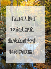 武科大携手12家头部企业成立耐火材料创新联盟