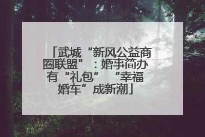 武城“新风公益商圈联盟”：婚事简办有“礼包” “幸福婚车”成新潮