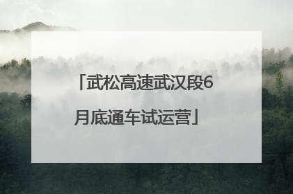 武松高速武汉段6月底通车试运营