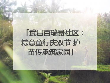武昌百瑞景社区：粽意童行庆双节 护苗传承筑家园