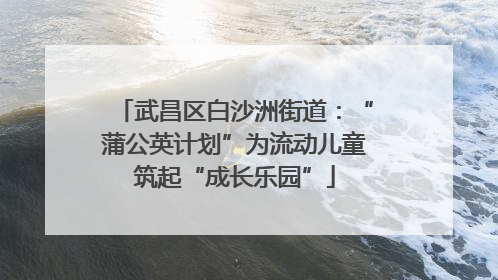 武昌区白沙洲街道：“蒲公英计划”为流动儿童筑起“成长乐园”