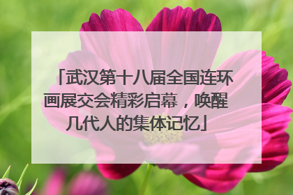 武汉第十八届全国连环画展交会精彩启幕，唤醒几代人的集体记忆