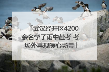 武汉经开区4200余名学子雨中赴考 考场外再现暖心场景