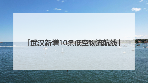 武汉新增10条低空物流航线