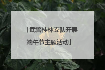 武警桂林支队开展端午节主题活动