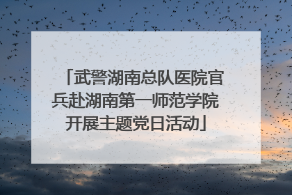 武警湖南总队医院官兵赴湖南第一师范学院开展主题党日活动