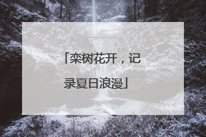 栾树花开，记录夏日浪漫