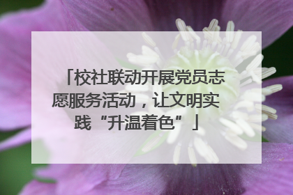 校社联动开展党员志愿服务活动，让文明实践“升温着色”