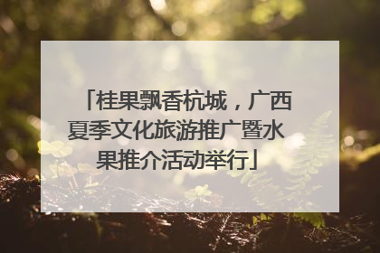 桂果飘香杭城，广西夏季文化旅游推广暨水果推介活动举行
