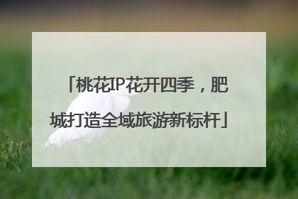 桃花IP花开四季，肥城打造全域旅游新标杆