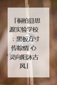 桐柏县思源实验学校：黑板方寸传粽情 心灵向阳沐古风