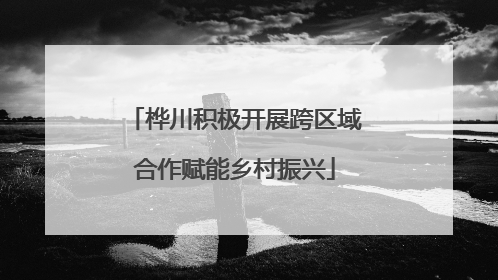 桦川积极开展跨区域合作赋能乡村振兴