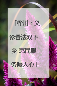 桦川：义诊普法双下乡 惠民服务暖人心
