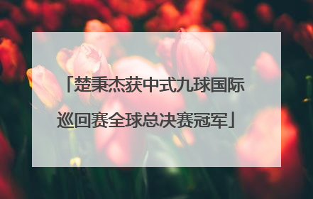 楚秉杰获中式九球国际巡回赛全球总决赛冠军