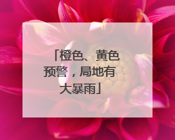 橙色、黄色预警，局地有大暴雨