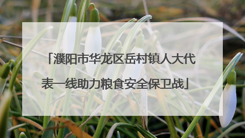 濮阳市华龙区岳村镇人大代表一线助力粮食安全保卫战