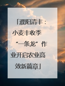 濮阳清丰：小麦丰收季 “一条龙”作业开启农业高效新篇章