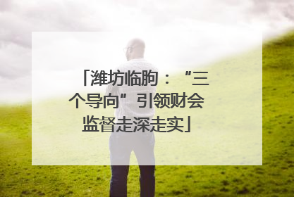 潍坊临朐：“三个导向”引领财会监督走深走实