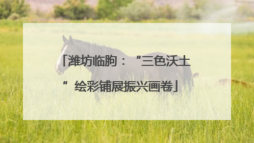 潍坊临朐：“三色沃土”绘彩铺展振兴画卷