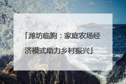 潍坊临朐：家庭农场经济模式助力乡村振兴