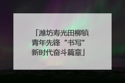 潍坊寿光田柳镇青年先锋“书写”新时代奋斗篇章