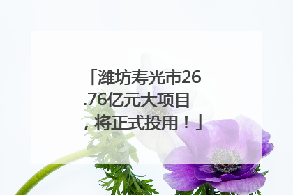 潍坊寿光市26.76亿元大项目，将正式投用！