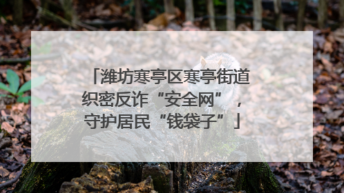 潍坊寒亭区寒亭街道织密反诈“安全网”，守护居民“钱袋子”