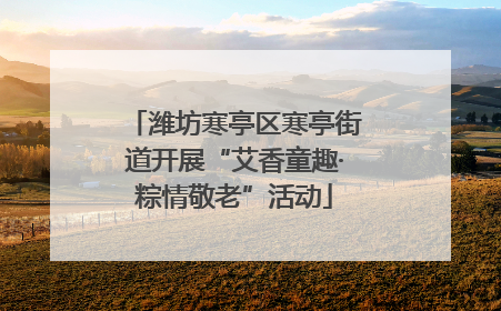 潍坊寒亭区寒亭街道开展“艾香童趣·粽情敬老”活动