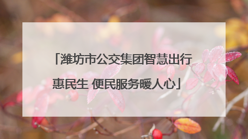 潍坊市公交集团智慧出行惠民生 便民服务暖人心