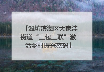 潍坊滨海区大家洼街道“三包三联”激活乡村振兴密码