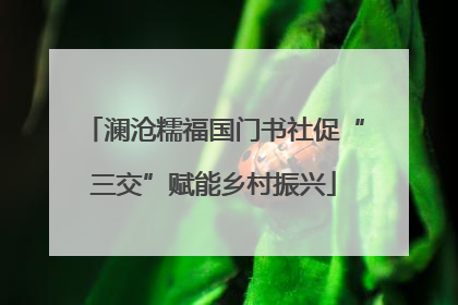 澜沧糯福国门书社促“三交”赋能乡村振兴