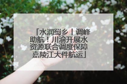 水润蜀乡丨调峰助航！川渝开展水资源联合调度保障嘉陵江大件航运