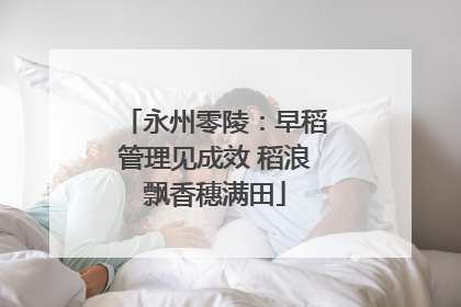 永州零陵：早稻管理见成效 稻浪飘香穗满田
