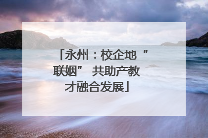 永州：校企地“联姻” 共助产教才融合发展