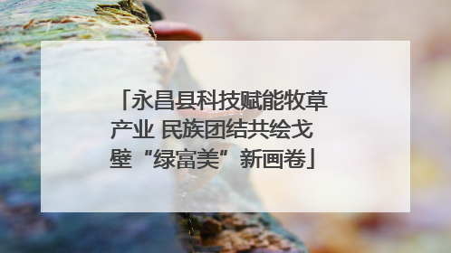 永昌县科技赋能牧草产业 民族团结共绘戈壁“绿富美”新画卷