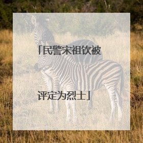 民警宋祖钦被评定为烈士