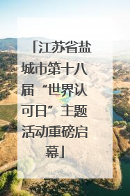 江苏省盐城市第十八届“世界认可日”主题活动重磅启幕