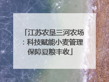 江苏农垦三河农场：科技赋能小麦管理保障夏粮丰收