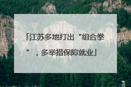 江苏多地打出“组合拳”，多举措保障就业