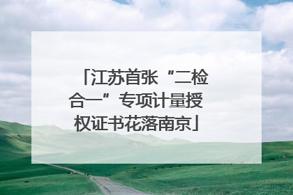 江苏首张“二检合一”专项计量授权证书花落南京