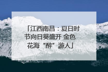 江西南昌：夏日时节向日葵盛开 金色花海“醉”游人
