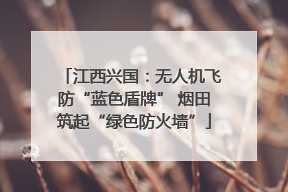 江西兴国：无人机飞防“蓝色盾牌” 烟田筑起“绿色防火墙”
