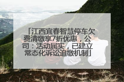 江西宜春智慧停车欠费清缴享7折优惠，公司：活动属实，已建立常态化诉讼追缴机制
